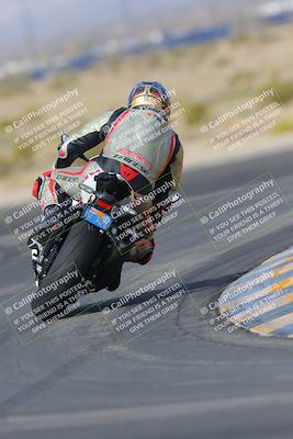 media/Mar-12-2023-SoCal Trackdays (Sun) [[d4c8249724]]/Turn 11 Backside (10am)/